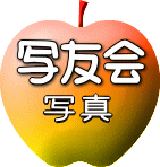 ʗF̃TCg