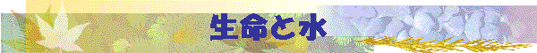 �����Ɛ�
