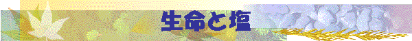 �����Ɖ�