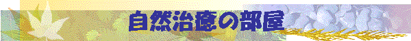 ���R�����̕���
