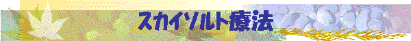 �����ėÖ@