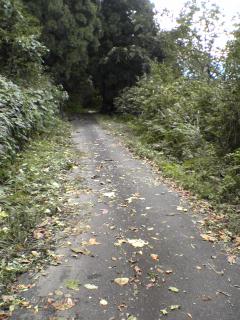 山道