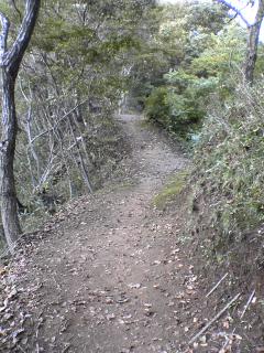 公園内の道