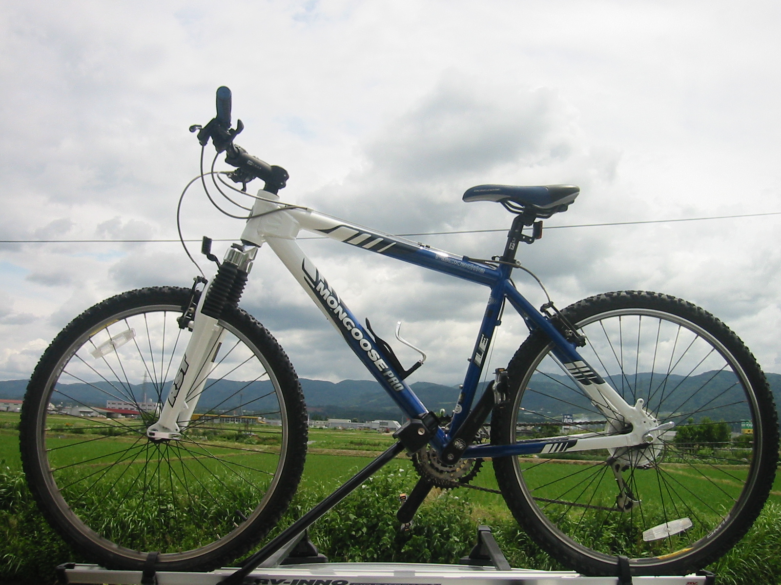 MTB