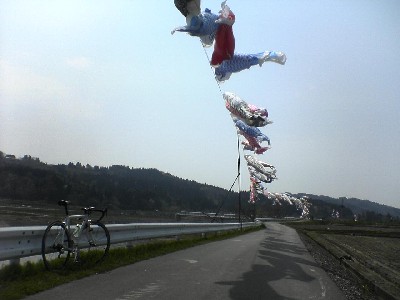 越路の鯉のぼり
