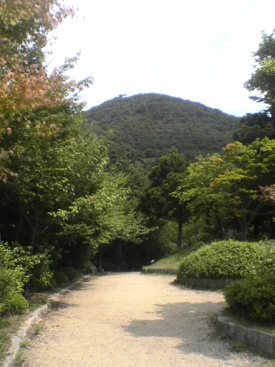 あれが国上山頂上でしょう。