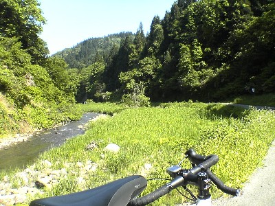林道脇の小川
