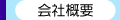 ЊTv